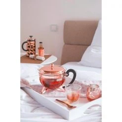 Bodum Teebereiter 1.3 Ltr Chambord Kupfer -Zieher Shop Teebereiter 1 3 ltr Chambord Kupfer 3 600x600 ID338194 6f0ccf8497c6e192322dab23ee1c144b